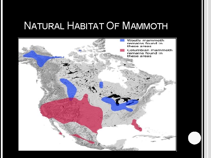 NATURAL HABITAT OF MAMMOTH 
