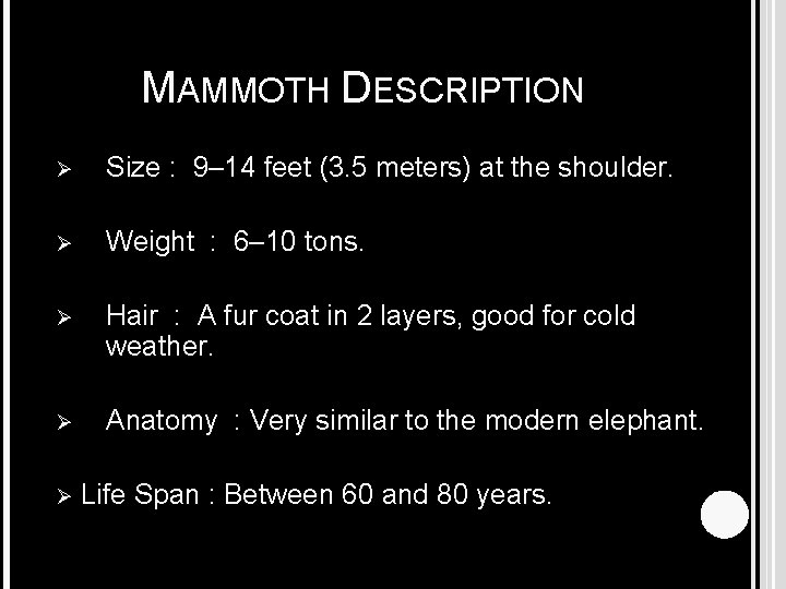MAMMOTH DESCRIPTION Ø Size : 9– 14 feet (3. 5 meters) at the shoulder.
