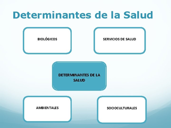 Determinantes de la Salud BIOLÓGICOS SERVICIOS DE SALUD DETERMINANTES DE LA SALUD AMBIENTALES SOCIOCULTURALES