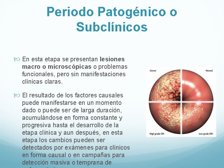 Periodo Patogénico o Subclínicos En esta etapa se presentan lesiones macro o microscópicas o