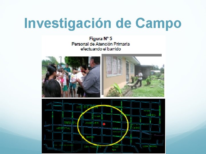 Investigación de Campo 