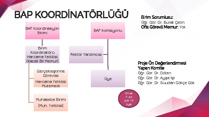 BAP KOORDİNATÖRLÜĞÜ BAP Koordinasyon Birimi Birim Koordinatörü Harcama Yetkilisi Olacak Bir Memur) Gerçekleştirme Görevlisi