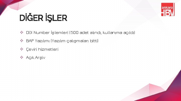 DİĞER İŞLER ✧ DOI Number İşlemleri (500 adet alındı, kullanıma açıldı) ✧ BAP Yazılımı