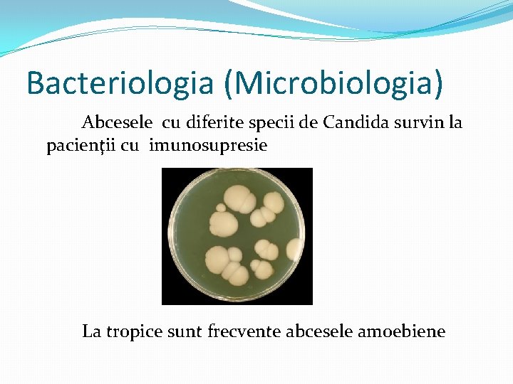 Bacteriologia (Microbiologia) Abcesele cu diferite specii de Candida survin la pacienţii cu imunosupresie La