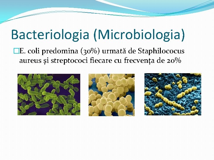 Bacteriologia (Microbiologia) �E. coli predomina (30%) urmată de Staphilococus aureus şi streptococi fiecare cu