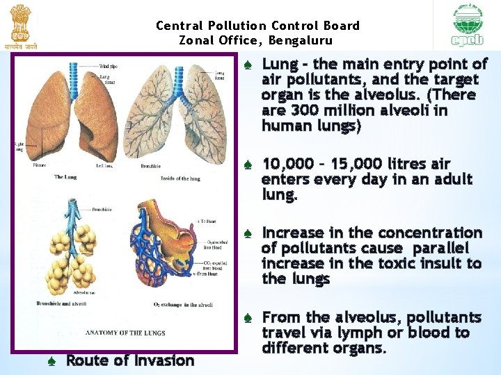 Central Pollution Control Board Zonal Office, Bengaluru ♠ Lung - the main entry point