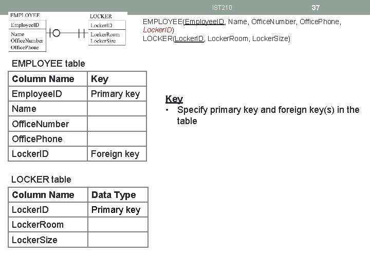 IST 210 37 EMPLOYEE(Employee. ID, Name, Office. Number, Office. Phone, Locker. ID) LOCKER(Locker. ID,