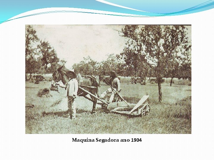 Maquina Segadora ano 1904 