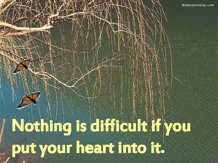 Nothing is difficult if you put your heart into it. 