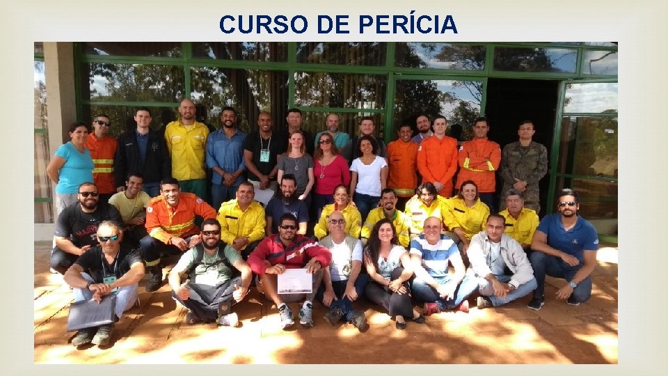 CURSO DE PERÍCIA 