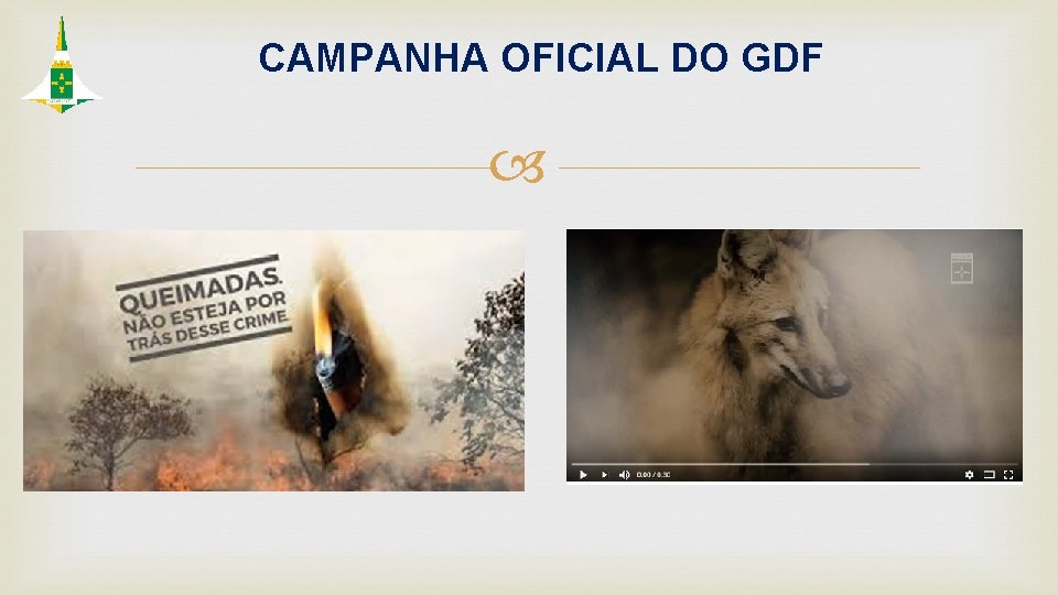 CAMPANHA OFICIAL DO GDF 