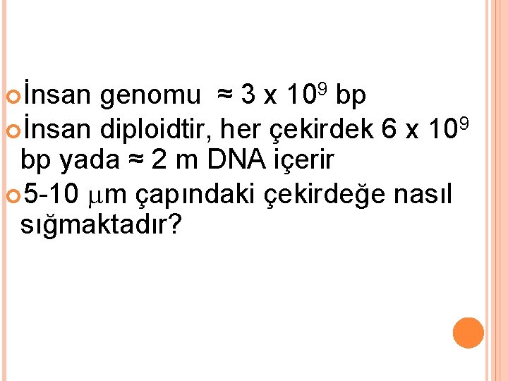  İnsan genomu ≈ 3 x 109 bp İnsan diploidtir, her çekirdek 6 x