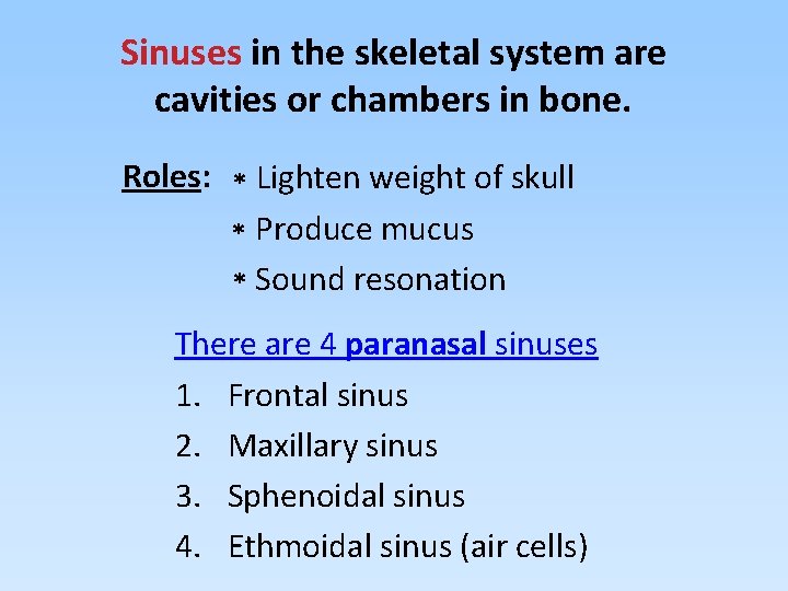 Sinuses in the skeletal system are cavities or chambers in bone. Roles: * Lighten