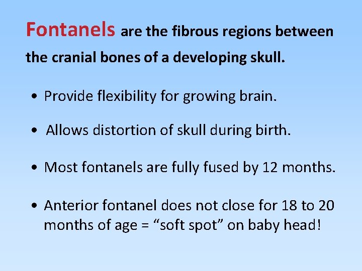Fontanels are the fibrous regions between the cranial bones of a developing skull. •