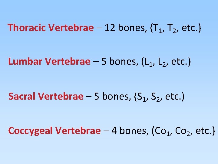 Thoracic Vertebrae – 12 bones, (T 1, T 2, etc. ) Lumbar Vertebrae –