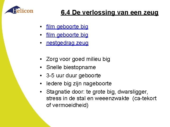 6. 4 De verlossing van een zeug • film geboorte big • nestgedrag zeug