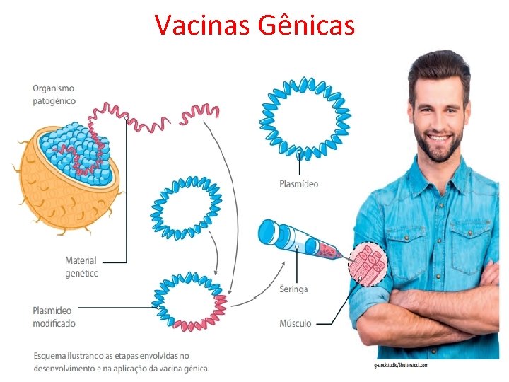 Vacinas Gênicas 