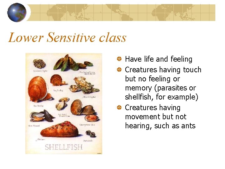 Lower Sensitive class Have life and feeling Creatures having touch but no feeling or