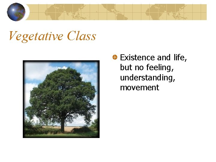 Vegetative Class Existence and life, but no feeling, understanding, movement 