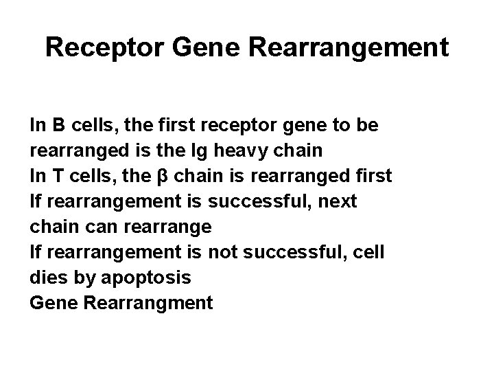 Receptor Gene Rearrangement In B cells, the first receptor gene to be rearranged is