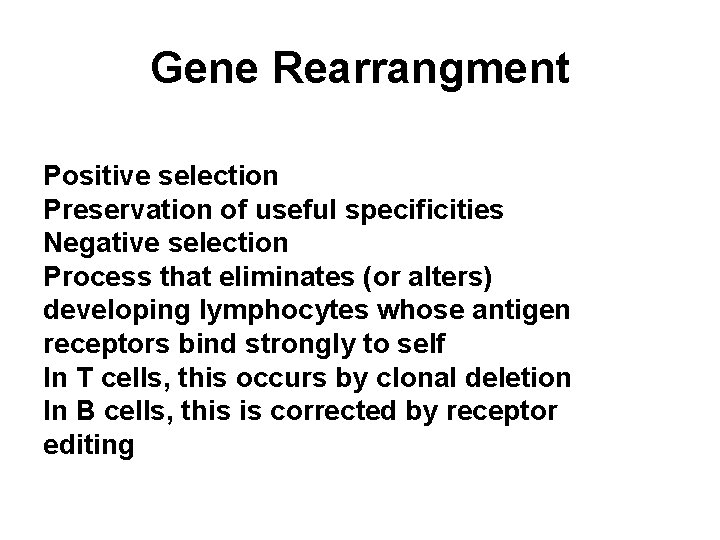 Gene Rearrangment Positive selection Preservation of useful specificities Negative selection Process that eliminates (or