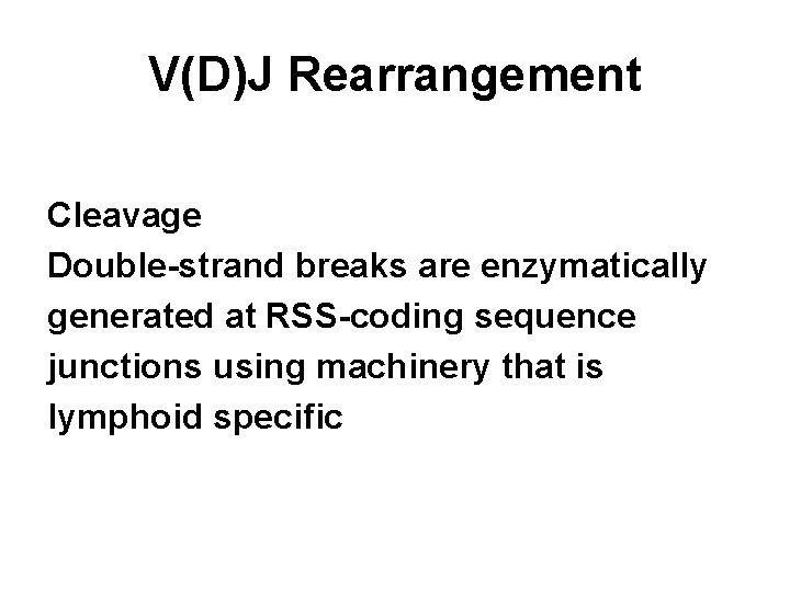V(D)J Rearrangement Cleavage Double-strand breaks are enzymatically generated at RSS-coding sequence junctions using machinery