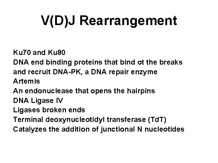 V(D)J Rearrangement Ku 70 and Ku 80 DNA end binding proteins that bind ot