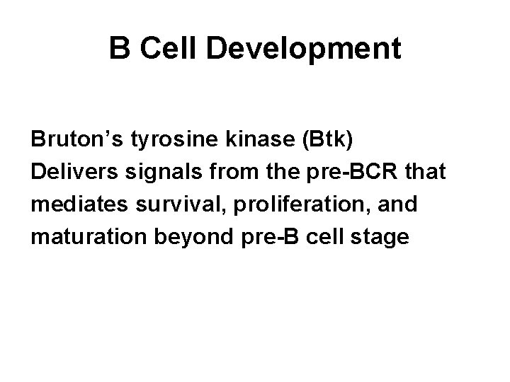 B Cell Development Bruton’s tyrosine kinase (Btk) Delivers signals from the pre-BCR that mediates
