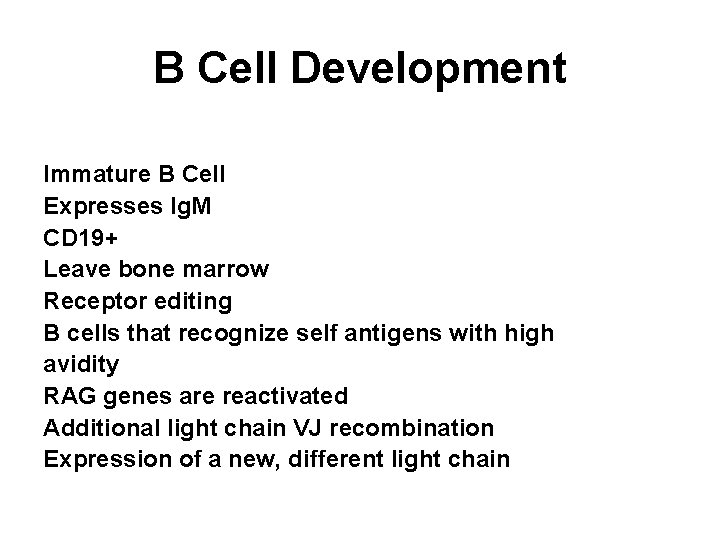 B Cell Development Immature B Cell Expresses Ig. M CD 19+ Leave bone marrow