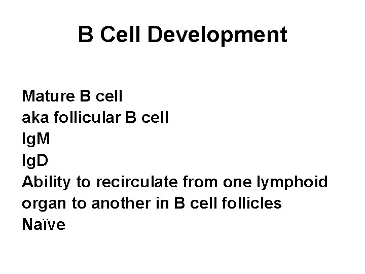 B Cell Development Mature B cell aka follicular B cell Ig. M Ig. D