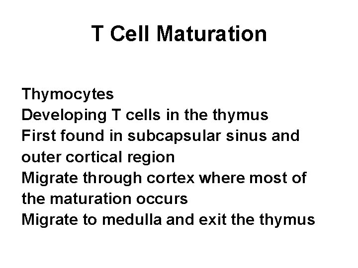 T Cell Maturation Thymocytes Developing T cells in the thymus First found in subcapsular