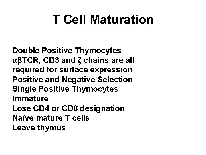 T Cell Maturation Double Positive Thymocytes αβTCR, CD 3 and ζ chains are all