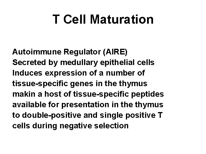 T Cell Maturation Autoimmune Regulator (AIRE) Secreted by medullary epithelial cells Induces expression of