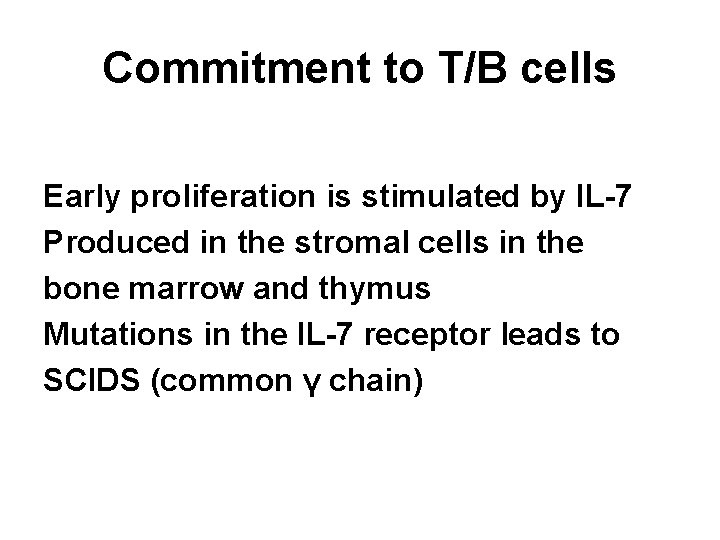 Commitment to T/B cells Early proliferation is stimulated by IL-7 Produced in the stromal