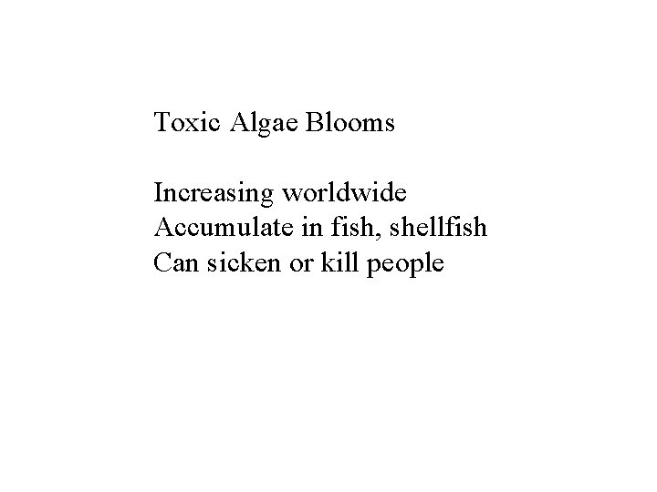 Toxic Algae Blooms Increasing worldwide Accumulate in fish, shellfish Can sicken or kill people