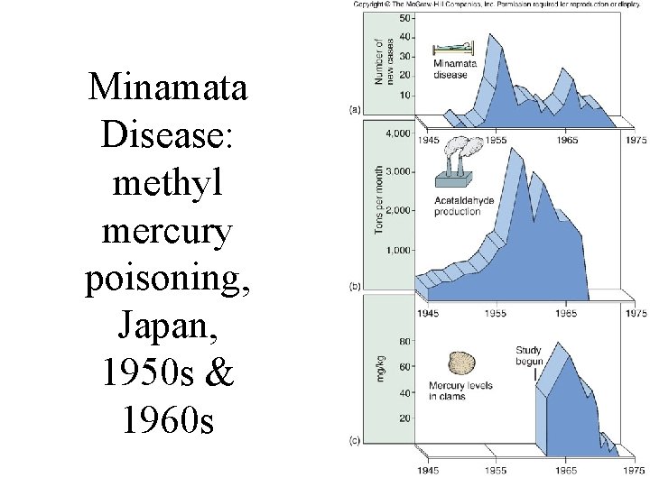 Minamata Disease: methyl mercury poisoning, Japan, 1950 s & 1960 s 