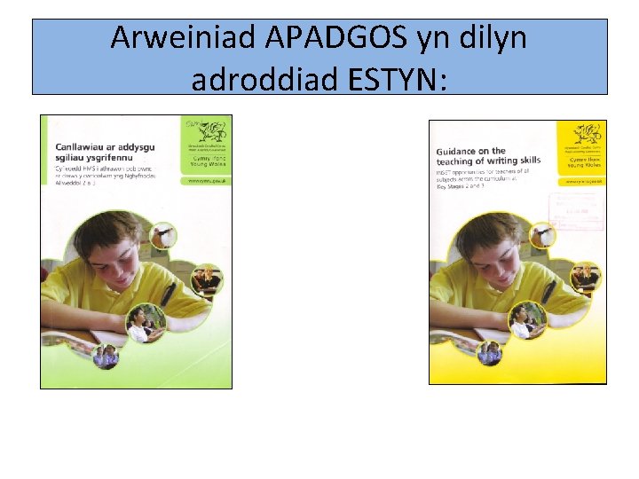 Arweiniad APADGOS yn dilyn adroddiad ESTYN: 