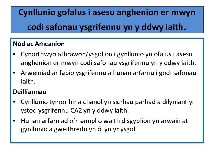 Cynllunio gofalus i asesu anghenion er mwyn codi safonau ysgrifennu yn y ddwy iaith.