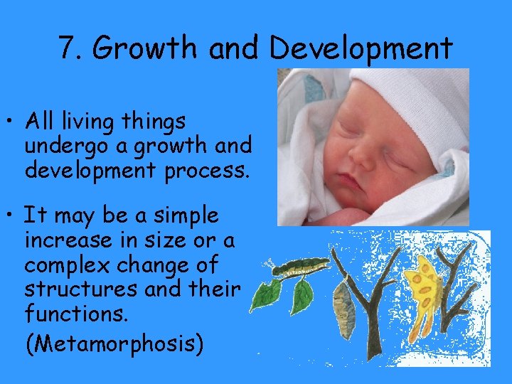 7. Growth and Development • All living things undergo a growth and development process.