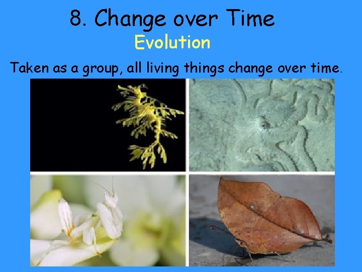 8. Change over Time Evolution Taken as a group, all living things change over