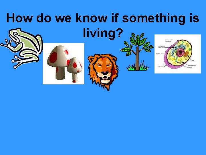 How do we know if something is living? 