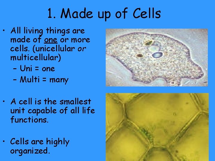 1. Made up of Cells • All living things are made of one or