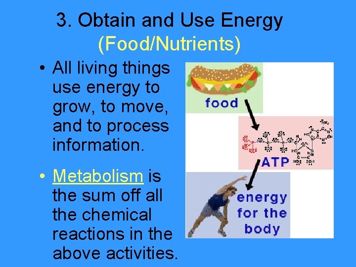 3. Obtain and Use Energy (Food/Nutrients) • All living things use energy to grow,