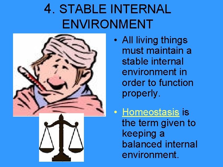 4. STABLE INTERNAL ENVIRONMENT • All living things must maintain a stable internal environment