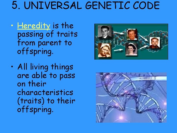 5. UNIVERSAL GENETIC CODE • Heredity is the passing of traits from parent to