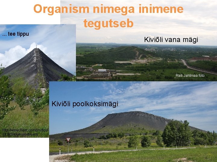 Organism nimega inimene tegutseb. . . tee tippu Kiviõli vana mägi Raili Jahtmaa foto