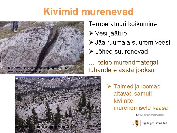 Kivimid murenevad Temperatuuri kõikumine Ø Vesi jäätub Ø Jää ruumala suurem veest Ø Lõhed