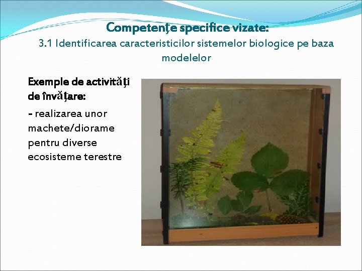 Competenţe specifice vizate: 3. 1 Identificarea caracteristicilor sistemelor biologice pe baza modelelor Exemple de