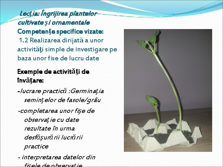 Lecţia: Îngrijirea plantelor cultivate şi ornamentale Competenţe specifice vizate: 1. 2 Realizarea dirijată a