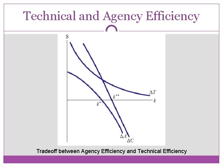 Technical and Agency Efficiency Tradeoff between Agency Efficiency and Technical Efficiency 